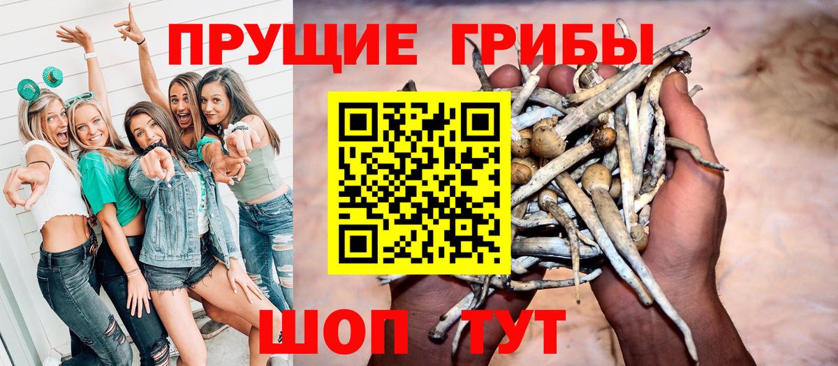 Псилоцибиновые грибы мицелий  Вход с VPN  Горячий Ключ 